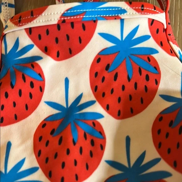 Hanna Andersson Strawberry Print Kids Swim Set - Picture 3 of 8